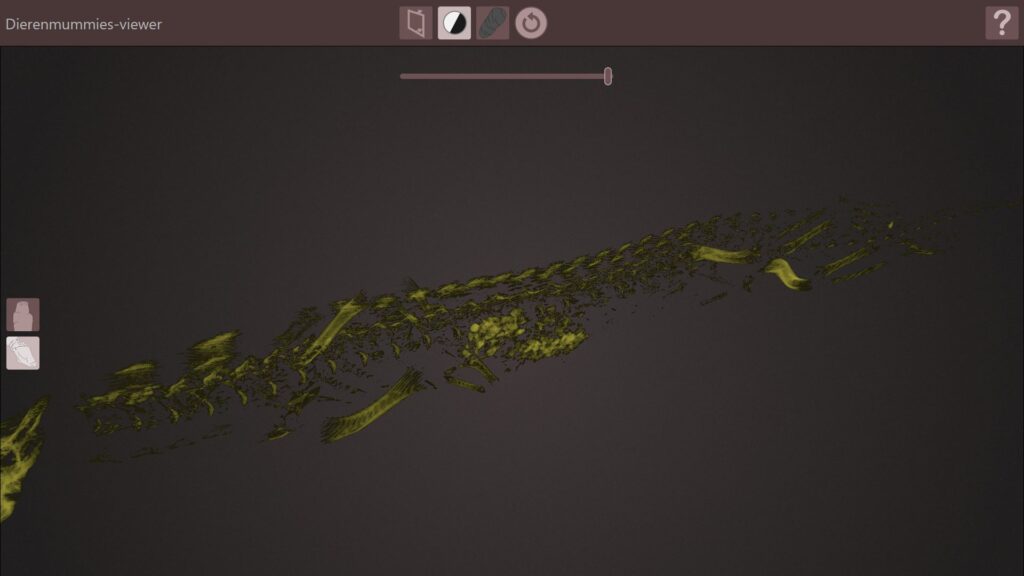 Volumetric display of CT-scan data of the crocodile mummy with high density materials isolated with the density slider tool.